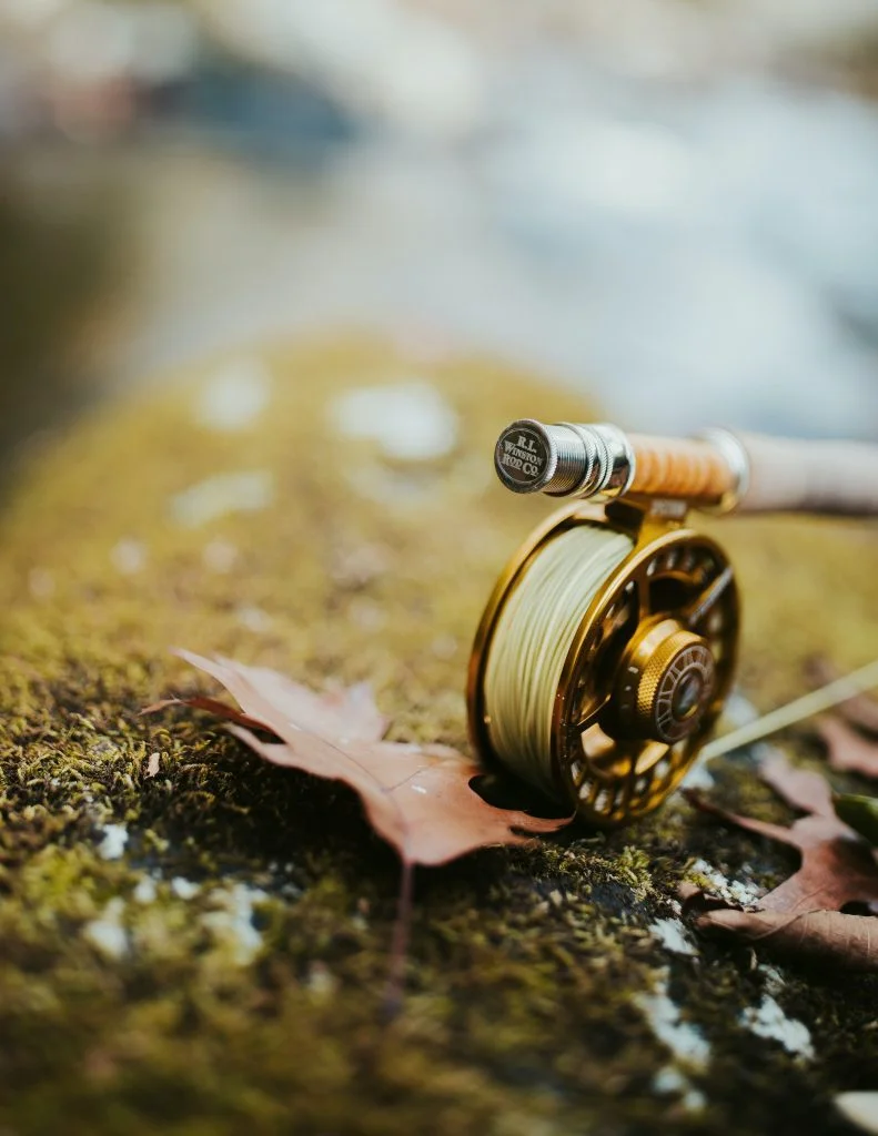 Fly fishing is a captivating angling method that has gained immense popularity among fishing enthusiasts worldwide. Unlike traditional fishing techniques, fly fishing relies on delicate presentations and intricate fly patterns to entice fish. 