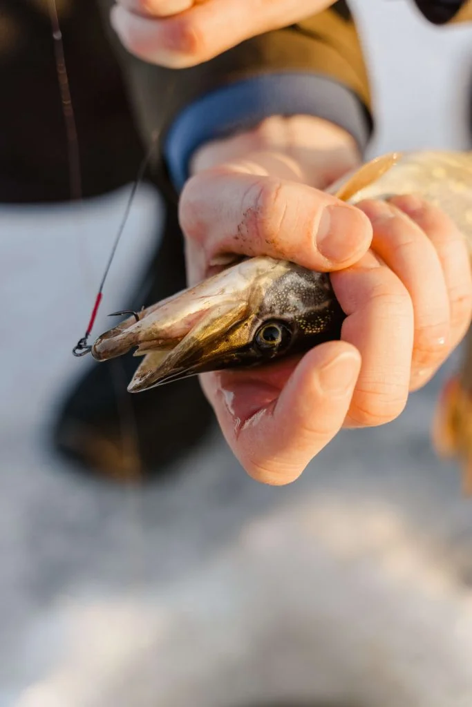 Trout fishing is a popular recreational activity enjoyed by anglers around the world. To maximize your chances of success, choosing the right hook size for trout is crucial.