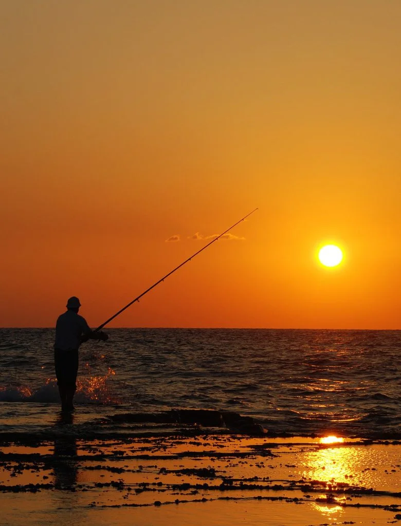 Trout fishing during the sunset is a famous recreational activity anglers enjoy worldwide. While trout can be caught at any time of the day, there is something extraordinary about casting your line during the enchanting hours of sunset.