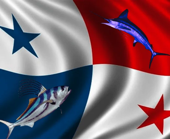 Panama Fishing is one of the most thrilling experiences around the world.