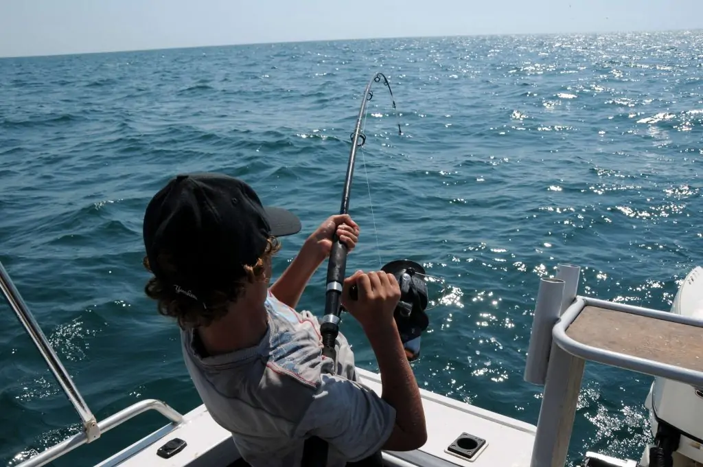 Conventional jigging rods are the ultimate choice for avid anglers seeking heavy-duty fishing experiences. Designed to withstand the challenges of deep-sea jigging and targeting more extensive, powerful fish.