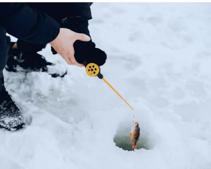 Panfish can display varying preferences on any given day, so it's essential to be adaptable in your approach. 