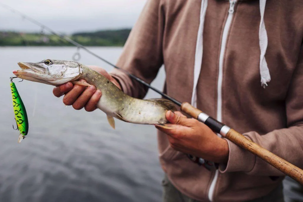 Selecting the right lures and baits can make all the difference in enticing salmon to strike. For river fishing, brightly colored spoons and spinners mimic the salmon's natural prey.