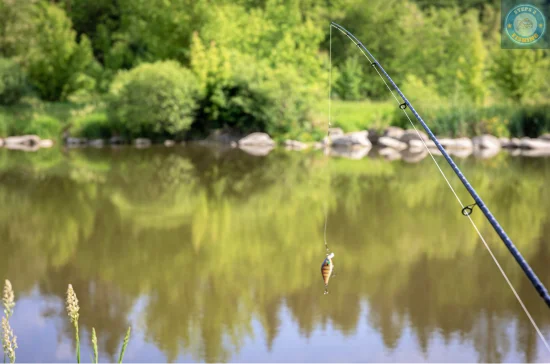 It's crucial to familiarize yourself with the fishing environment. Observe the shoreline, noting any submerged structures, vegetation, and changes in water depth.