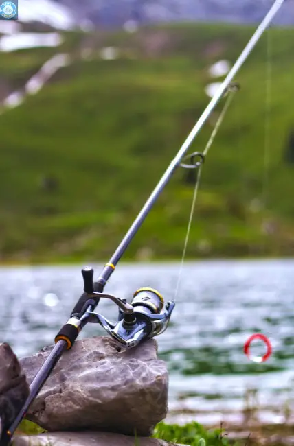 Spinning reels are ideal since they offer smooth line retrieval and come in a variety of sizes for different applications.