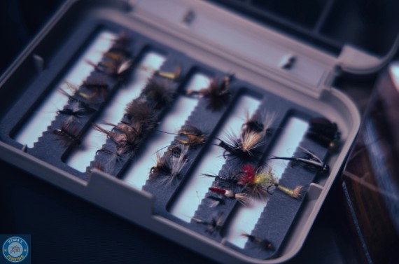 Regarding trolling flies for Trout, anglers have a wide range of options. Trout are known to be discerning feeders, and the choice of these lures can significantly affect your success. 