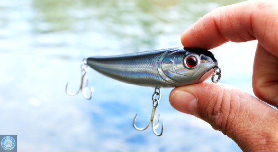 Carry a variety of lures and baits, including soft plastics, topwater lures, and live bait, to adapt to changing conditions and fish preferences.