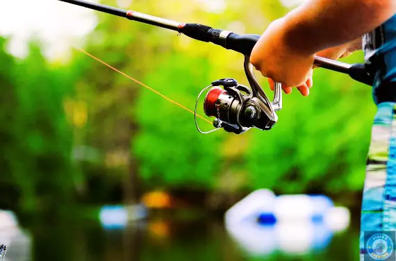 Choosing the right fishing rod and reel is essential for any angler, but it becomes even more crucial in this technique.