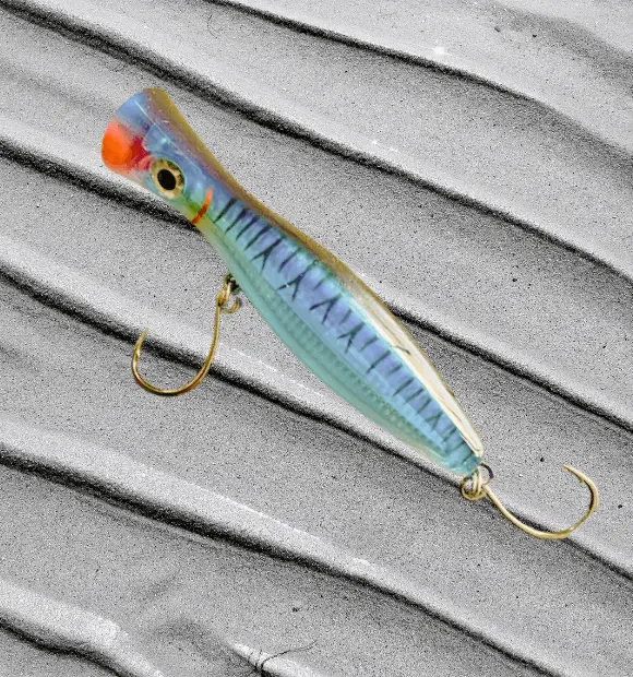 In saltwater topwater lures, the popper has a unique design. When retrieved, it creates a loud popping or splashing noise.