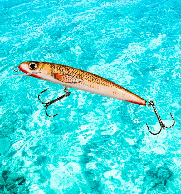 Slider lures are great for saltwater topwater fishing because they work well and attract many types of fish. 