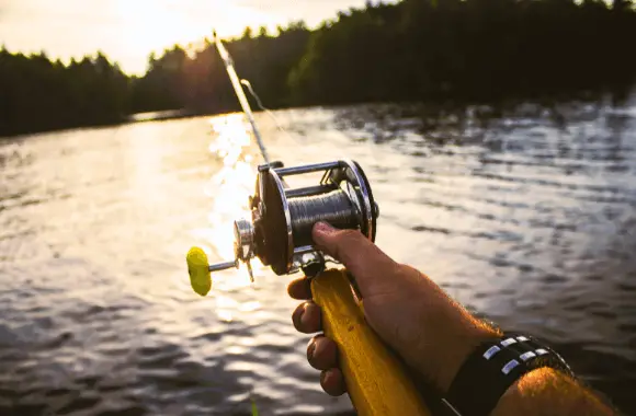 In Spinning Rod vs Casting Rod,  Experienced anglers usually like casting rods for their precision and ability to cast long distances. 