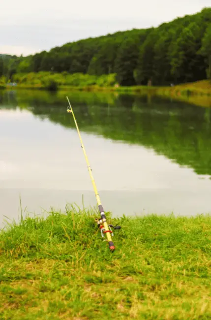 Beginners often prefer spinning rods because they are easy to use. The open-faced design and simple casting technique allow beginners to focus on enjoying the experience.