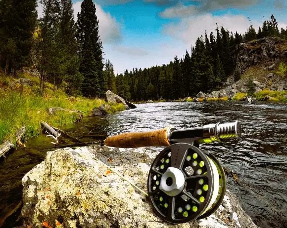 Freshwater fishing reels offer a range of uses for various situations, acting like a multi-purpose tool designed for fishing.
