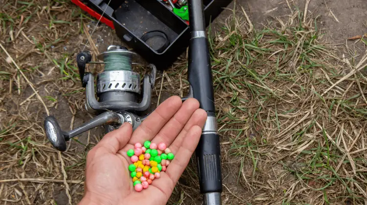 Bead fishing is a distinctive and efficient method that allows you to interact closely with fish in their natural environment.