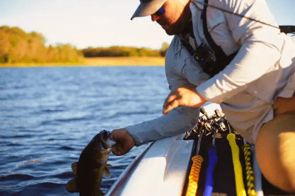 Selecting the appropriate swimbait for the fish you're aiming to hook is a vital aspect of angling. If your target is smaller fish, a lighter bait will do the trick. 