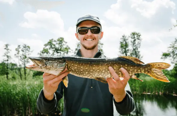  Donning polarized sunglasses can greatly enhance visibility in murky water, thereby increasing your likelihood of successfully capturing Pike.