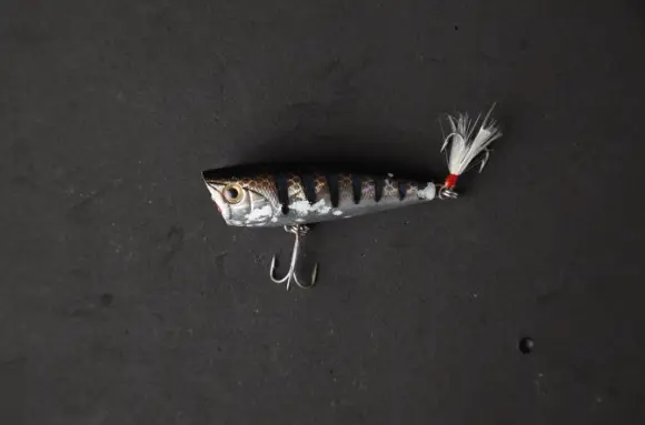 You can make your jigs look like a yummy meal by choosing the right color and movement. 