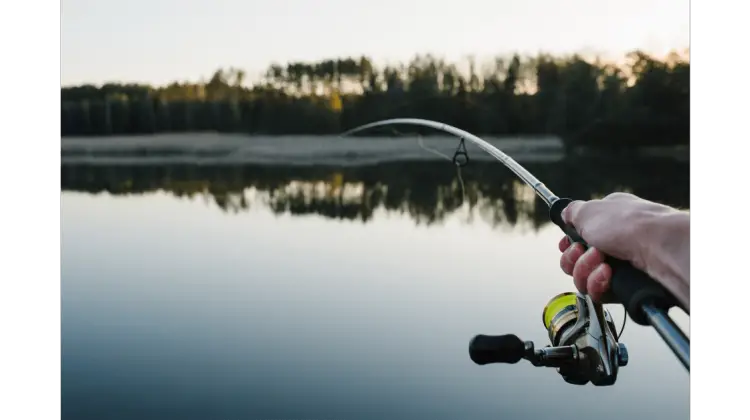 The Tokyo Rig offers a new approach to drop shot rigging, providing anglers with enhanced control and stability. Its unique hook with a wire dropper securely holds the weight below, eliminating the need for a leader line.