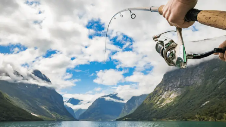 Spin Casting Fishing, or just Spin Casting, is a user-friendly fishing method. It uses a closed-face reel mounted on your fishing rod.