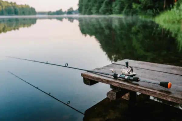 Look for a medium-heavy or heavy-action rod paired with a dependable reel that can handle larger fish commonly found near piers. 