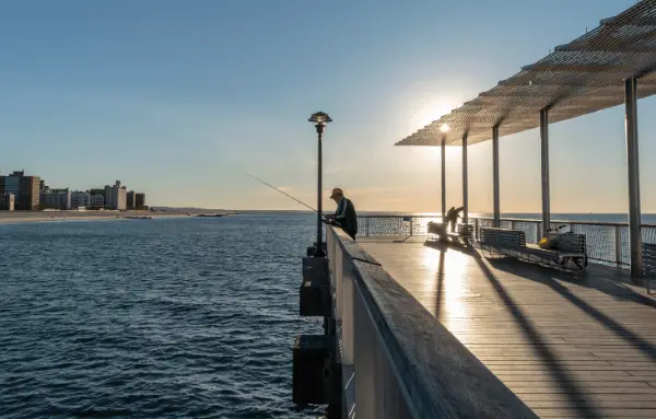 Many fishing enthusiasts find joy in pier fishing, as it offers a convenient and stable way to enjoy the sport without the challenges of boat fishing. 